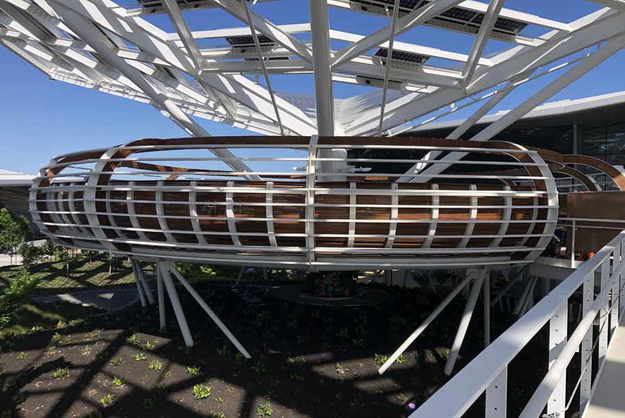 Curved Steel "Treehouses" Provide Tranquil Break Area for Employees at the NVIDIA Corporate Headquarters in Santa Clara, California
